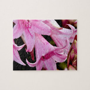 Liebliche rosa Lilien Puzzle