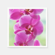 Liebliche rosa Orchids