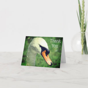 Liebliche Swan Nature Dankeschön Card Dankeskarte