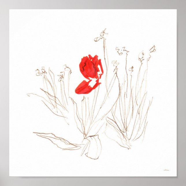 Liebliche Tulpe im Wind und Regenposter Poster (Vorne)