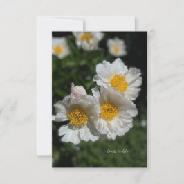Liebliche weiße Peonies Mitteilungskarte