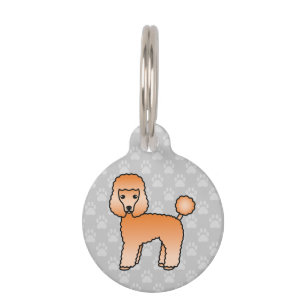 Lieblicher Apricot Toy Poodle Hund und Haustiere e Tiermarke