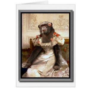 Lieblicher Chimp in Gown