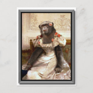 Lieblicher Chimp in Gown Postkarte