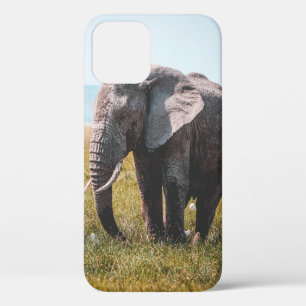 LIEBLICHER ELEFANT Case-Mate iPhone HÜLLE