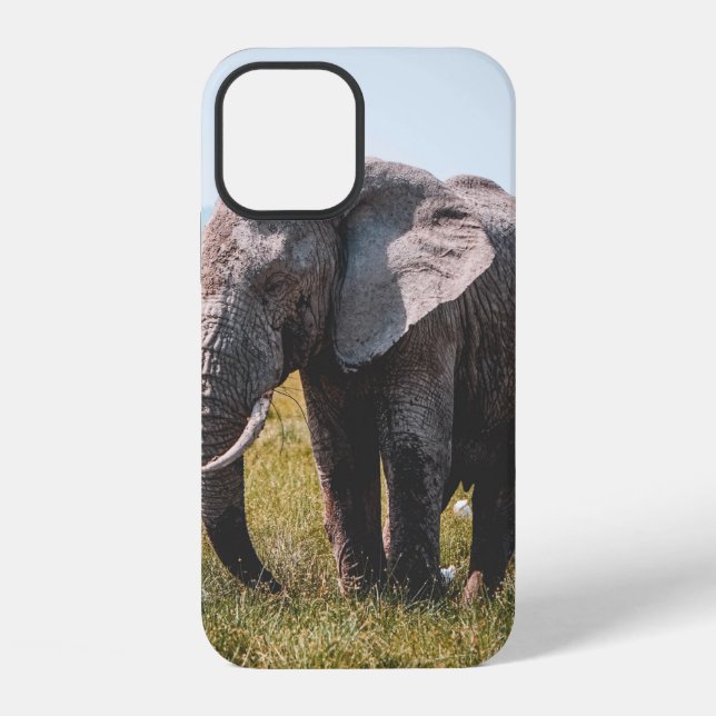 LIEBLICHER ELEFANT iPhone HÜLLE (Rückseite)