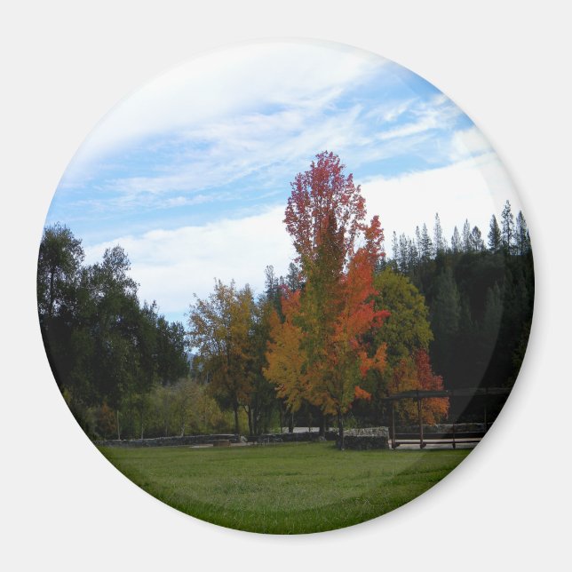 Lieblicher Herbsttag... Magnet (Vorne)
