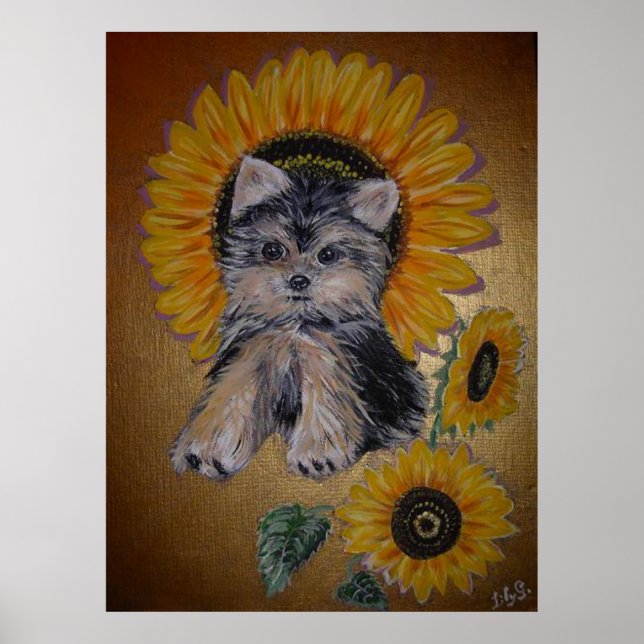 Lieblicher kleiner Hund und Sonnenblumen Poster (Vorne)