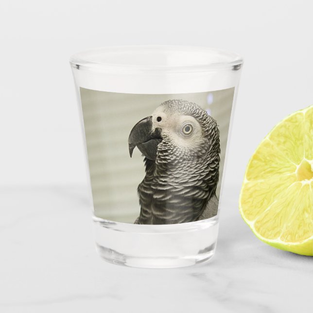 Lieblicher Kongo Afrikanischer Grau-Papagei Schnapsglas (Vorderseite)