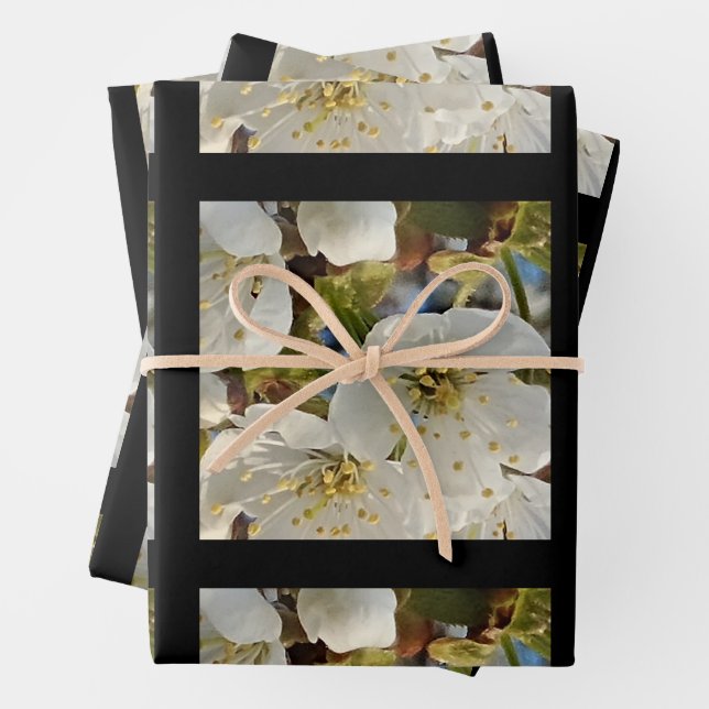 Lieblicher Springflower Grid Geschenkpapier Set (Beispiel)