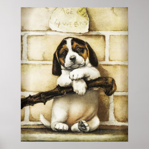Lieblicher Welpe Poster