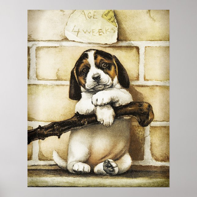 Lieblicher Welpe Poster (Vorne)