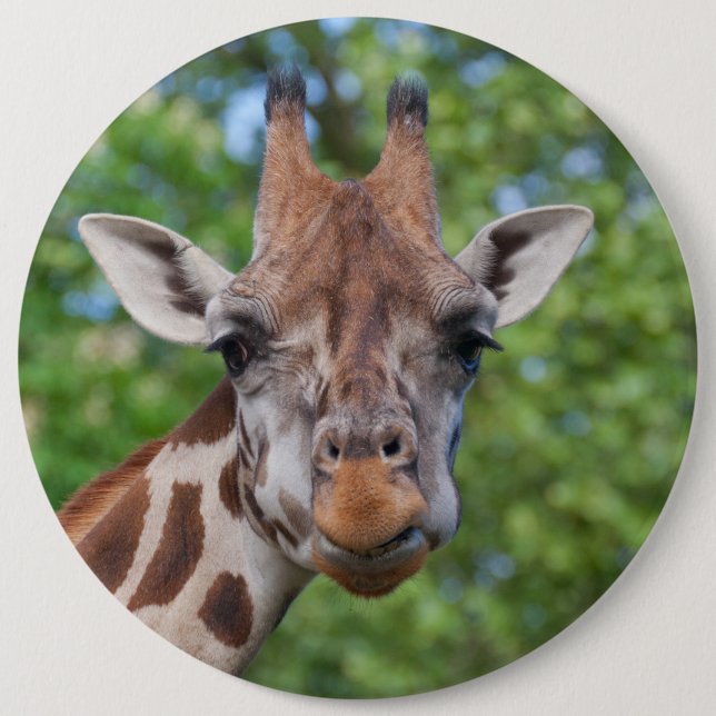 Liebliches Giraffe-Portrait Button (Vorderseite)