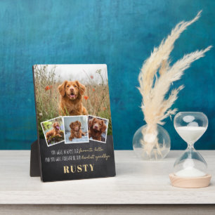 Lieblings-Hallo Hardest Goodbye Pet Memorial Plaqu Fotoplatte
