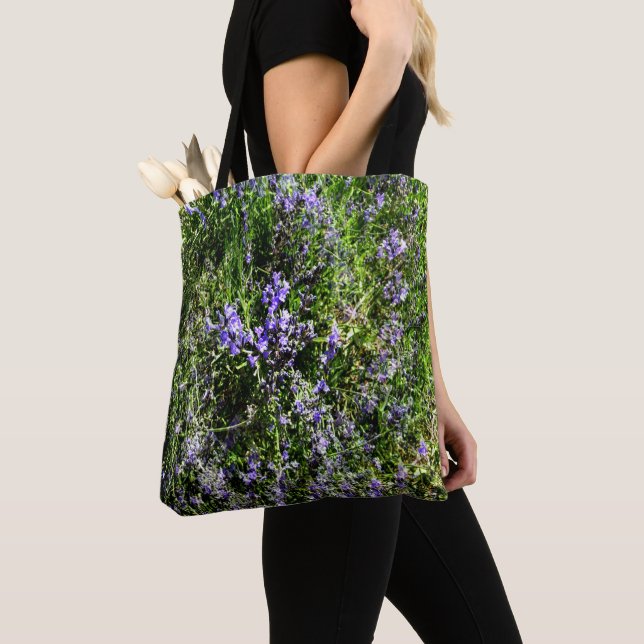 Lieblings-Lavendel...... (Von Nahem)