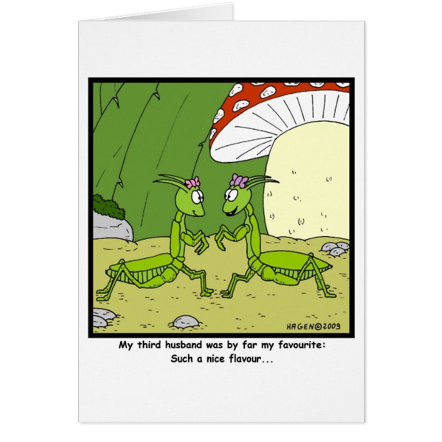 Lieblingsehemann (Vorne)