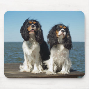 Liebt Cavalier King Charles Spaniel Welpe Mauspad