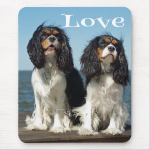 Liebt Cavalier King Charles Spaniel Welpe Mauspad