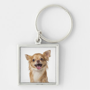 Liebt langhaarige Chihuahua-Welpen-Hunde Schlüsselanhänger