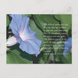 Lied von Solomon 2:10-12 Schrift Postcard Postkarte