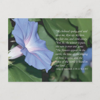 Lied von Solomon 2:10-12 Schrift Postcard Postkarte