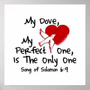 Lied von Solomon 6:9 Poster