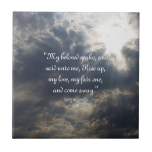 Lieder 2:10 Keramik Tile Fliese