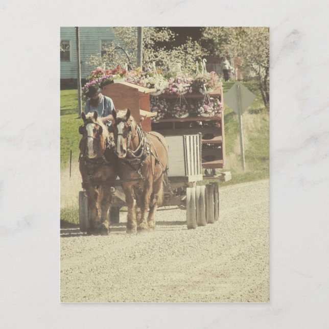 Lieferung der Amish-Blume Postkarte (Vorderseite)