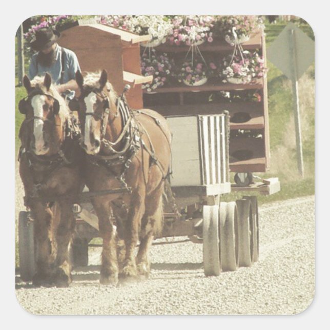 Lieferung der Amish-Blume Quadratischer Aufkleber (Vorderseite)