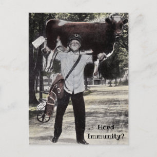 Lieferung von Herdenunsicherheit im antiken Stil Postkarte