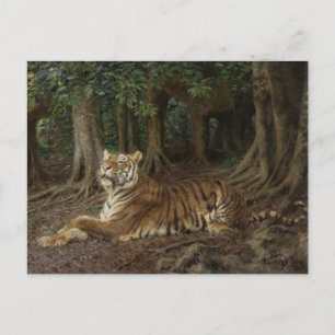 Liegender Tiger von Geza Vastagh Postkarte