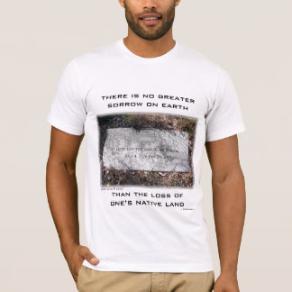 LIEGT HIER DER AMERIKANISCHE TRAUM T-Shirt