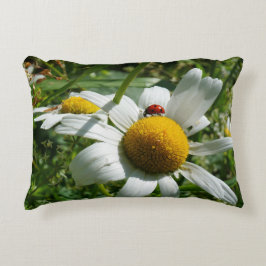 Lieveheersbeestje op margriet in de natuur. dekokissen