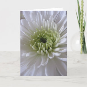 Life in Bloom (2) Greeting Cards Karte