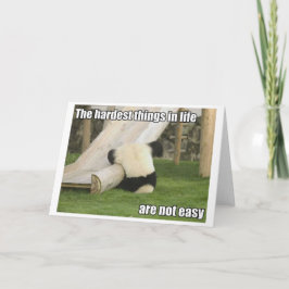 Life is Hard Panda greeting card Karte