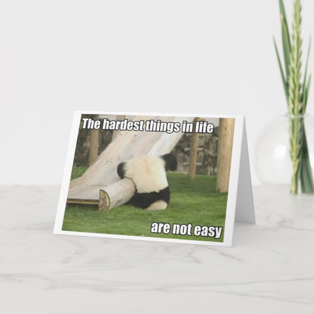 Life is Hard Panda greeting card Karte (Vorderseite)
