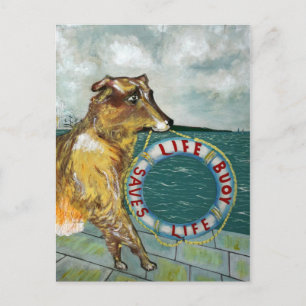 Lifebuoy-Seifen-Werbeposter aus der Vintage-Zeit Postkarte