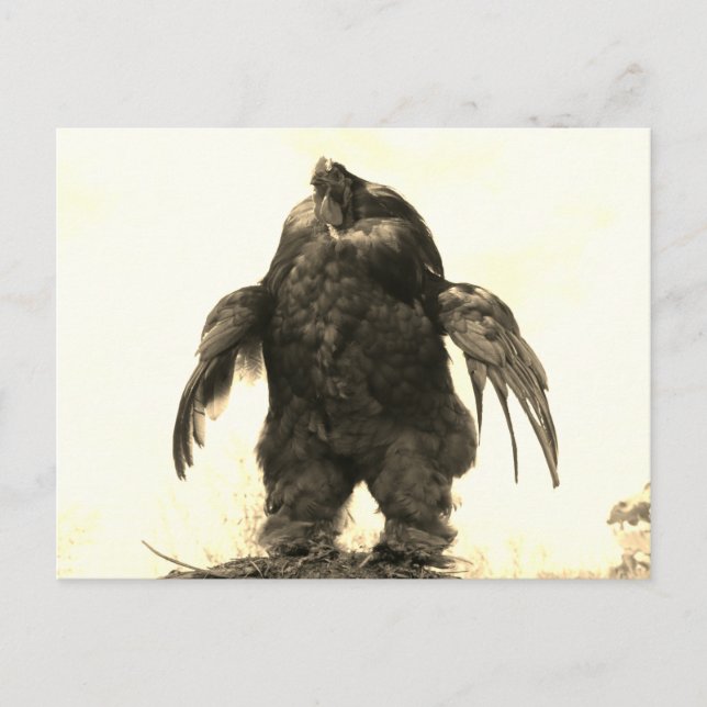 Lift ihr sogar, Bro? - Postkarte (Vorderseite)