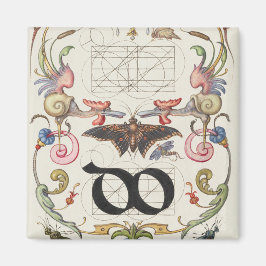 Ligatur von Mira Calligraphiae Monumenta Magnet