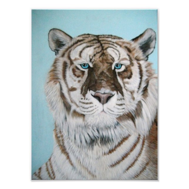 Liger Fotodruck (Vorne)