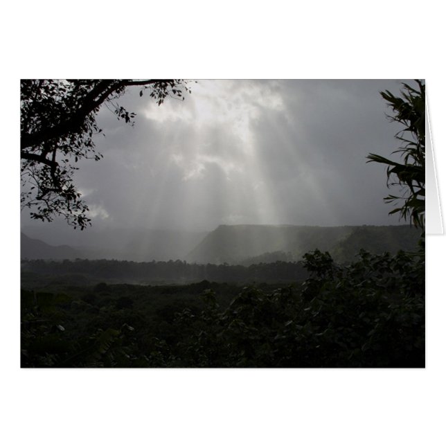 Light Beams (Vorderseite (Horizontal))