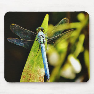 Light Blue Dragonfly Mousepad