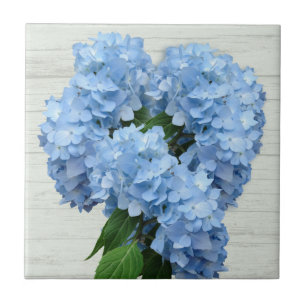 Light Blue Hydrangea-Blume Fliese