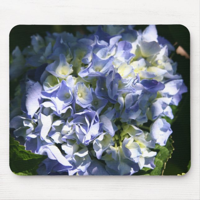 Light Blue Hydrangea Blume Mousepad (Vorne)