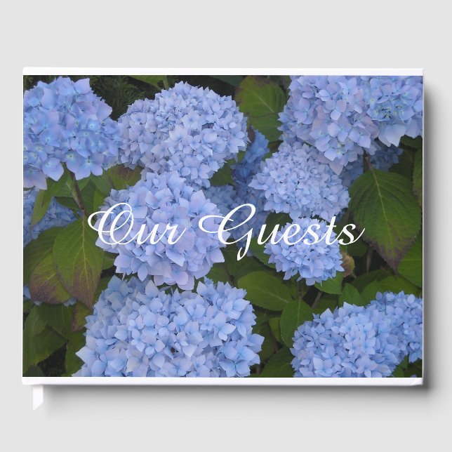 Light Blue Hydrangeas Gästebuch (Vorderseite)