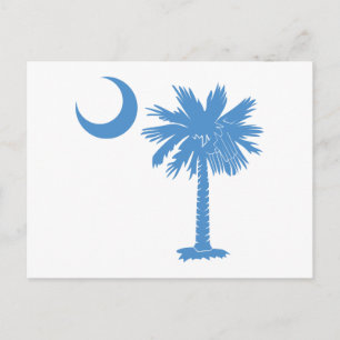 Light Blue Palmetto Postkarte