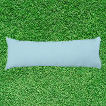 Light Blue Solid Color