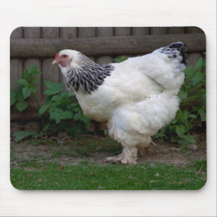 Light Brahma Hen Mousepad