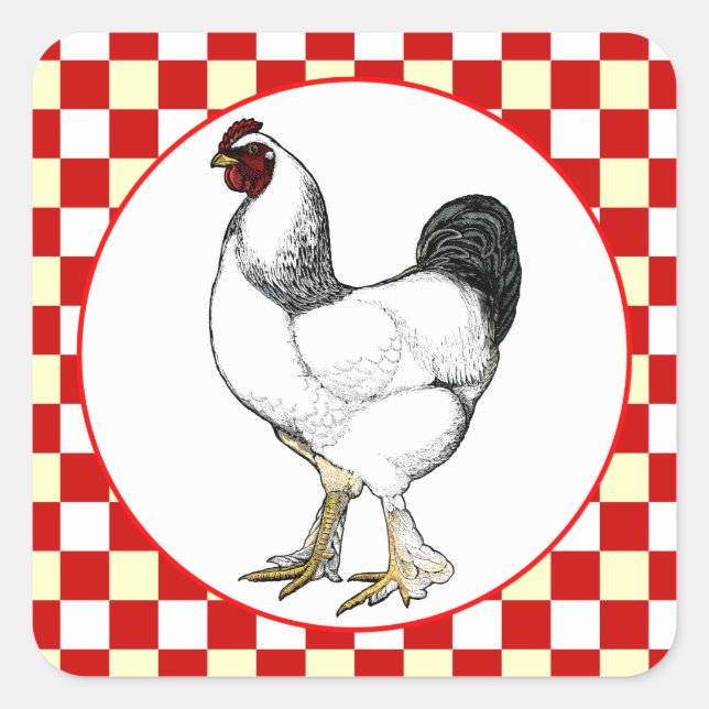 Light Brahma Rooster Chicken Restaurant Quadratischer Aufkleber (Vorderseite)