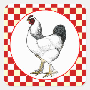 Light Brahma Rooster Chicken Restaurant Quadratischer Aufkleber